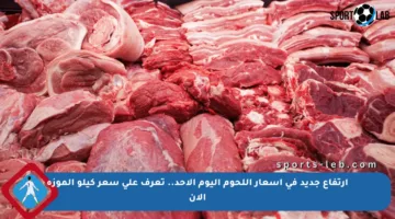 ارتفاع جديد في أسعار اللحوم اليوم الأحد.. تعرف على سعر كيلو الموزة الآن